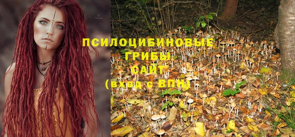 дурь Кулебаки