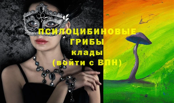 соль курить ск Лабытнанги