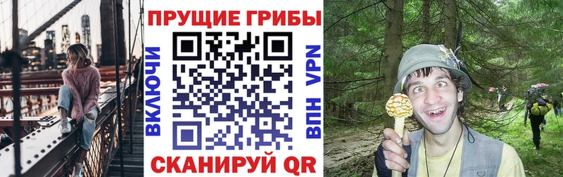 наркошоп Щучье Галлюциногенные грибы прущие грибы